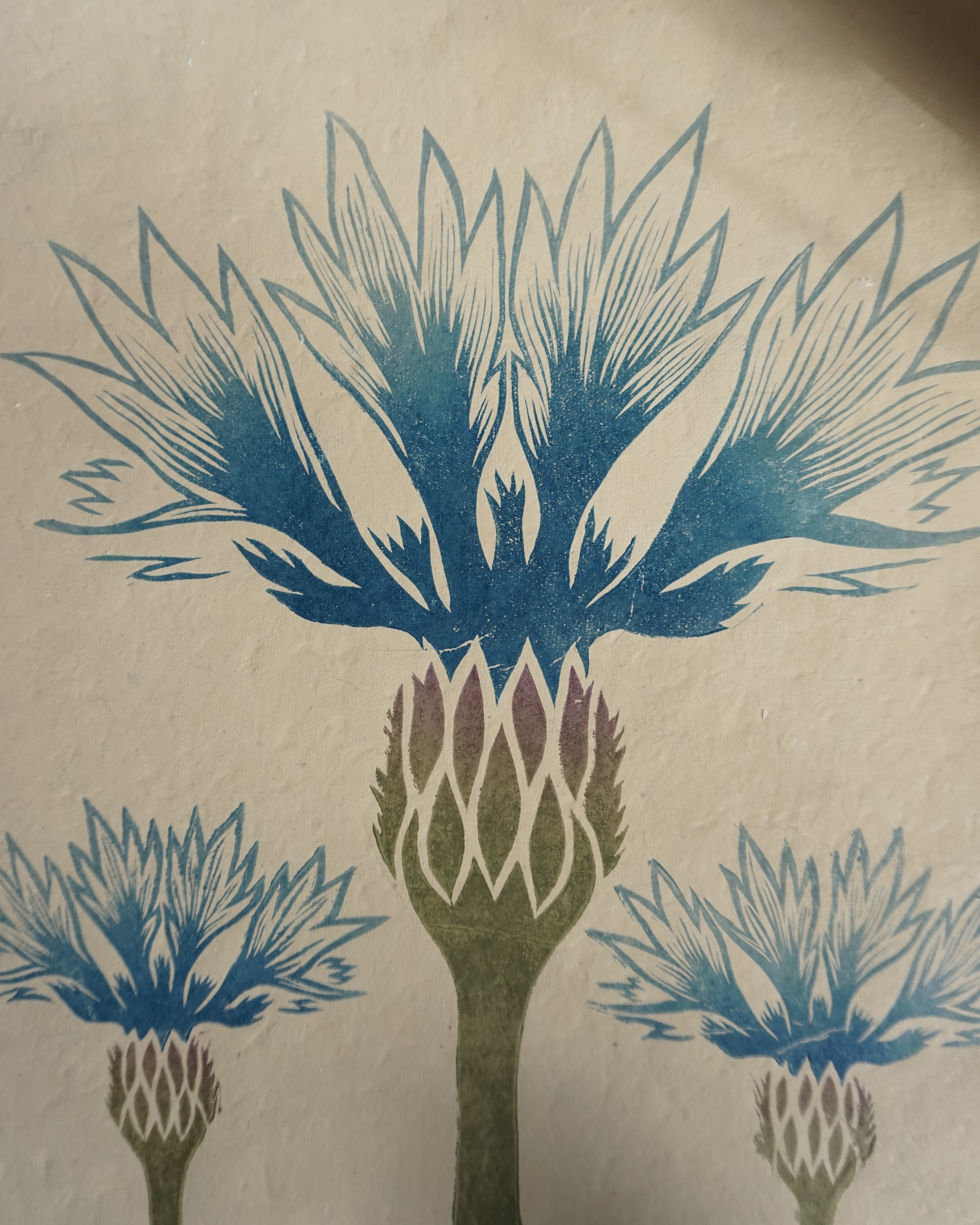 Botanical Print Centaurea cyanus