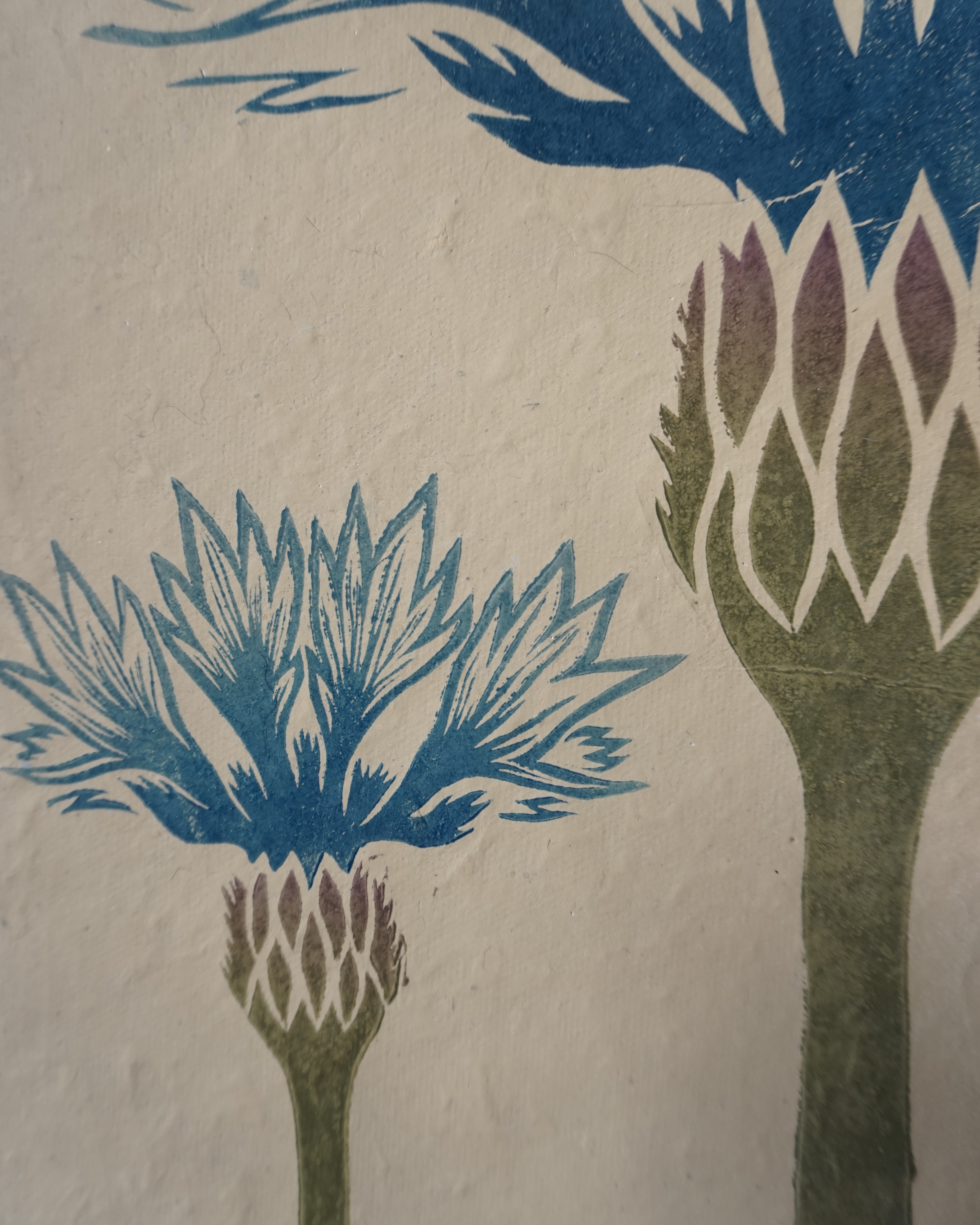 Botanical Print Centaurea cyanus