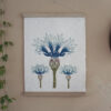 Botanical Print Centaurea cyanus