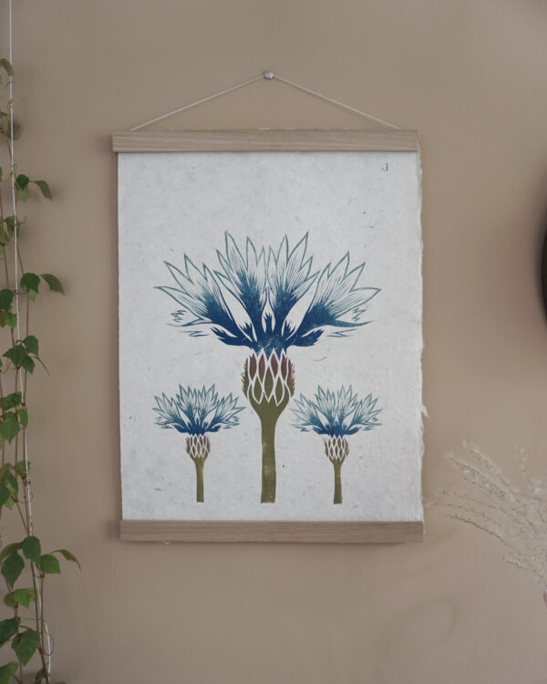 Botanical Print Centaurea cyanus