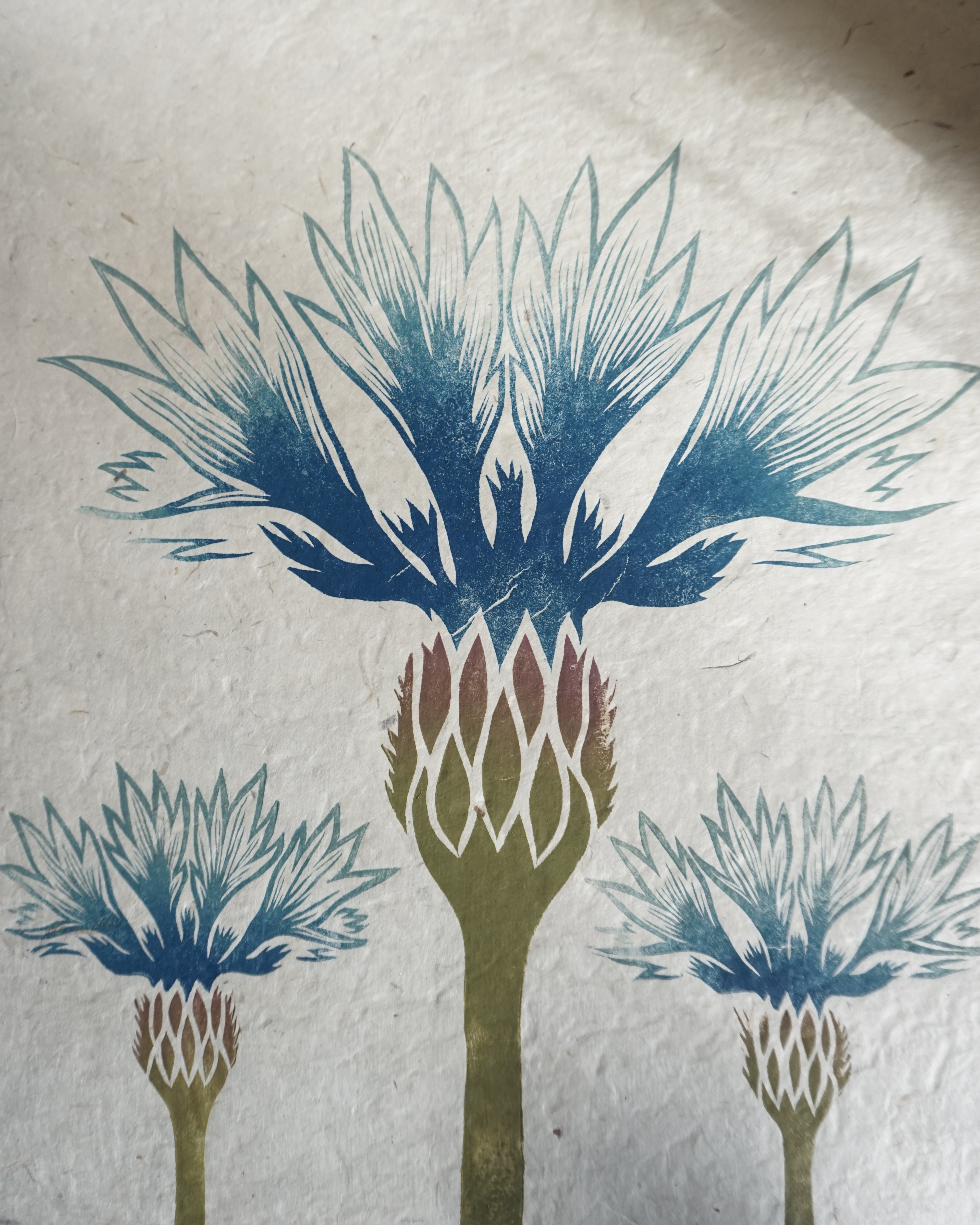 Botanical Print Centaurea cyanus