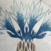 Botanical Print Centaurea cyanus