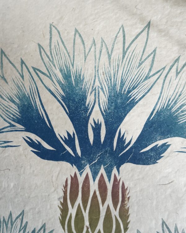Botanical Print Centaurea cyanus