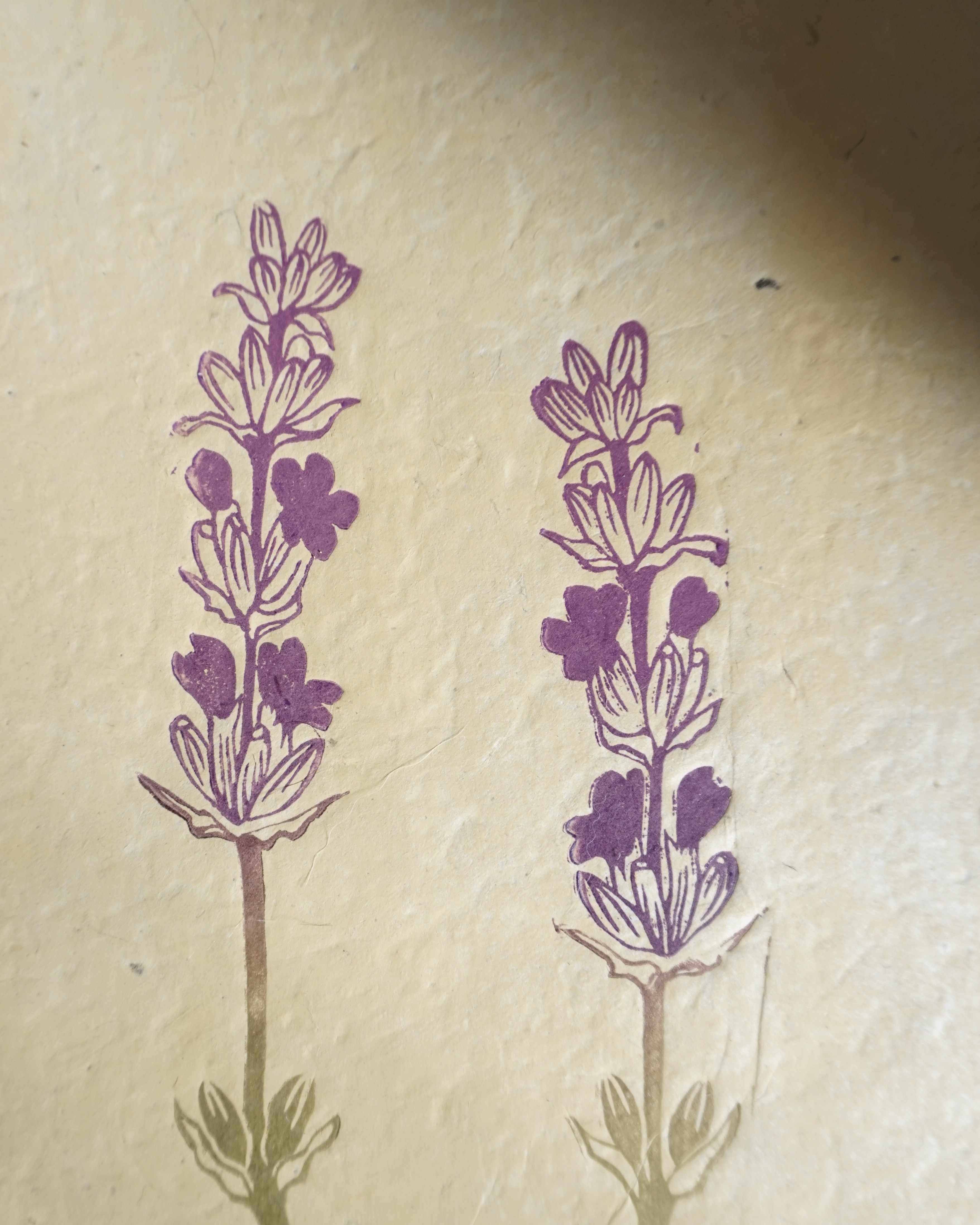 Lavander Botanical Print Lavander