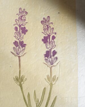 Botanical Print Lavander