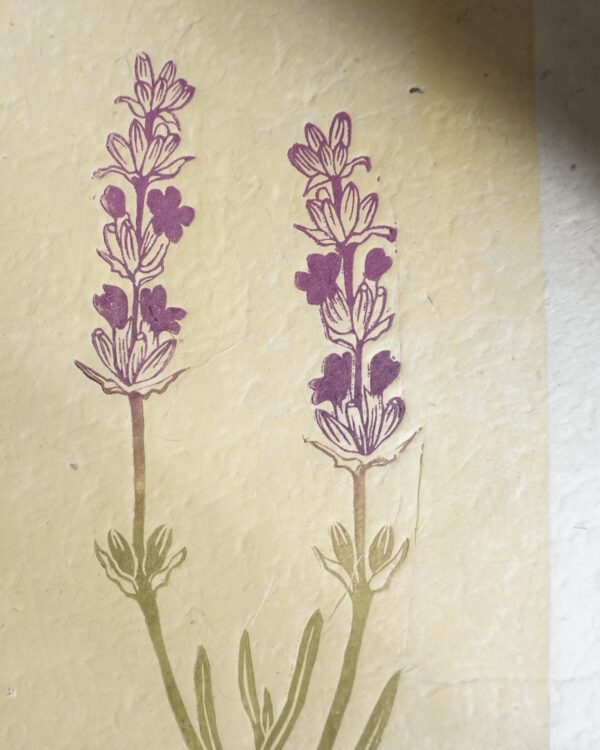 Lavander Botanical Print Lavander