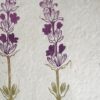 Lavander Botanical Print Lavander