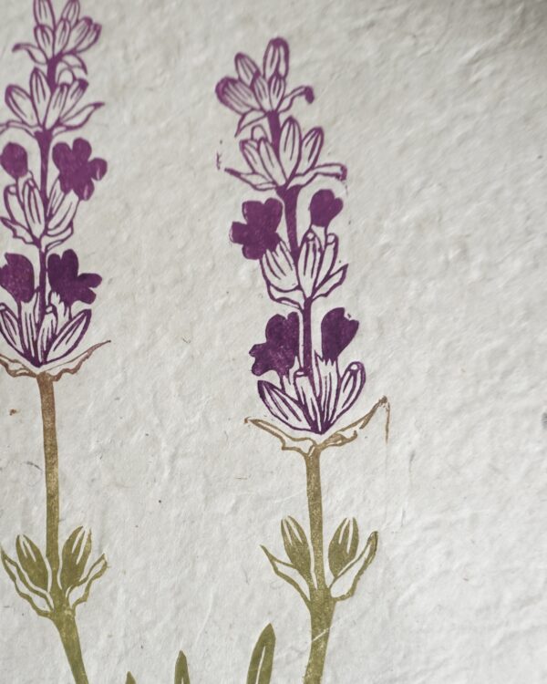 Lavander Botanical Print Lavander