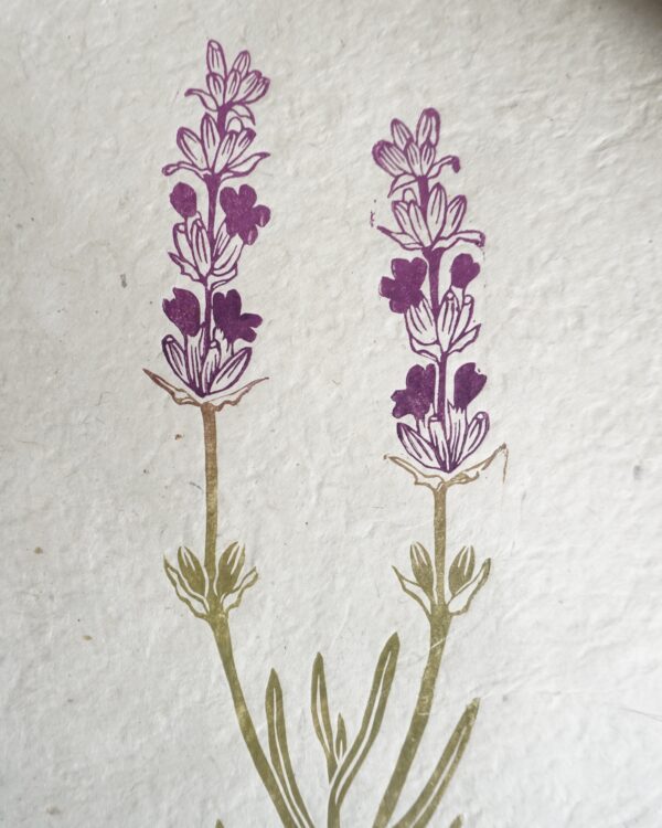 Lavander Botanical Print Lavander