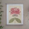 Monarda Botanical Print Monarda Beebalm