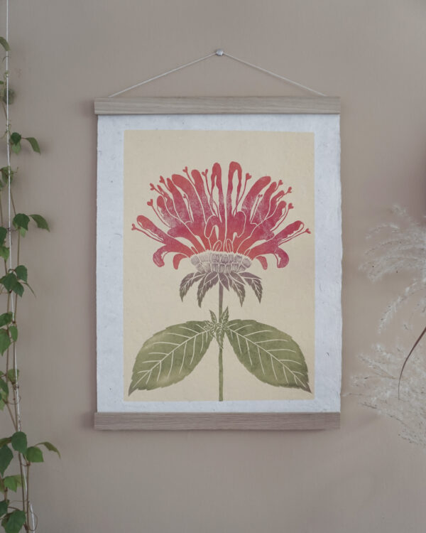 Monarda Botanical Print Monarda Beebalm