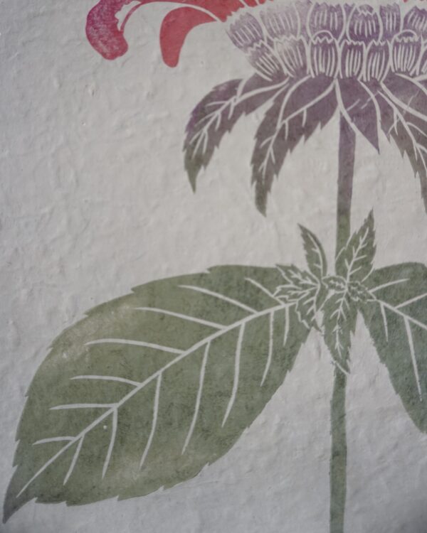Monarda Botanical Print Monarda Beebalm