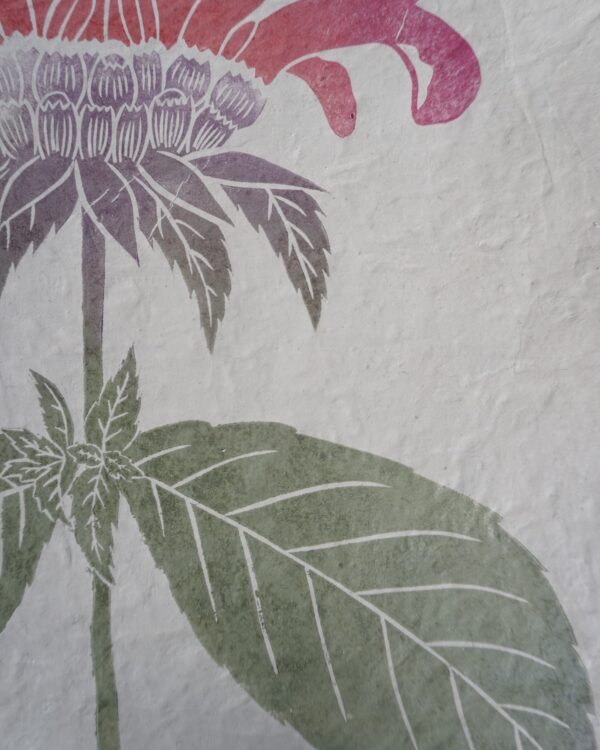Monarda Botanical Print Monarda Beebalm