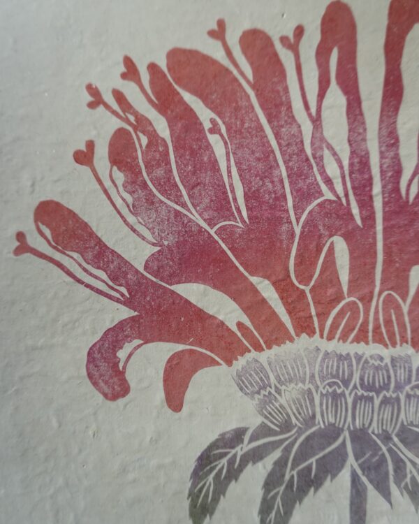 Monarda Botanical Print Monarda Beebalm