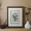 Trout Lily Botanical Blockprint Tout Lily