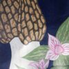Botanical Blockprint Morilles Trillium
