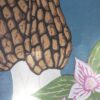 Botanical Blockprint Morilles Trillium