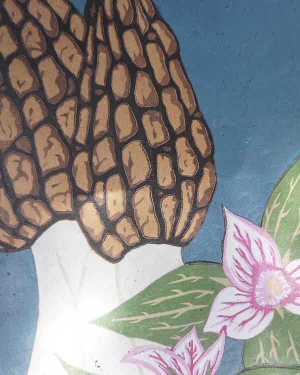 Botanical Blockprint Morilles Trillium
