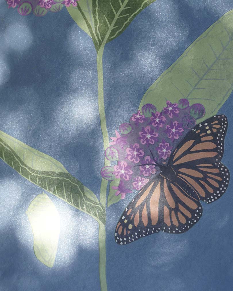 Monarch Métamorphose Light Blue Botanical Blockprint Monarch Métamorphose