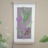 Monarch Métamorphose Dusty Mauve Botanical Blockprint Monarch Métamorphose
