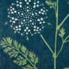 Carrot Sauvage Botanical Blockprint Queen Anne's lace