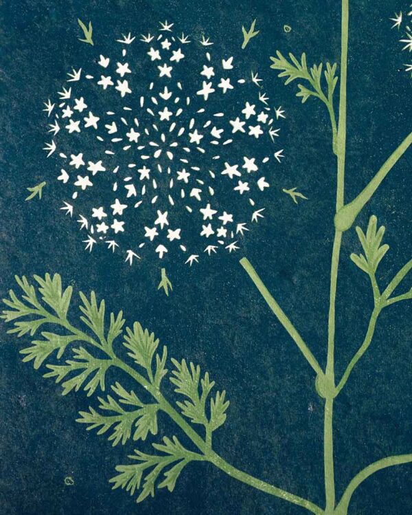 Carrot Sauvage Botanical Blockprint Queen Anne's lace