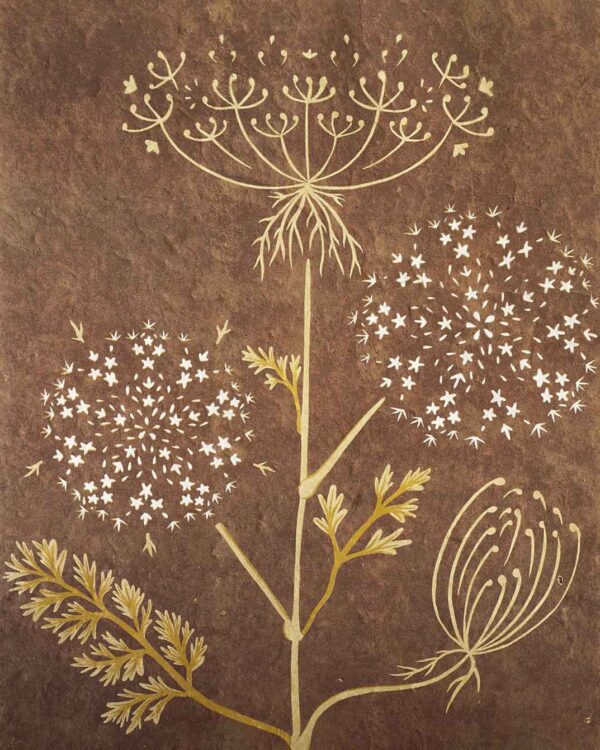 Carrot Sauvage Botanical Blockprint Queen Anne's lace