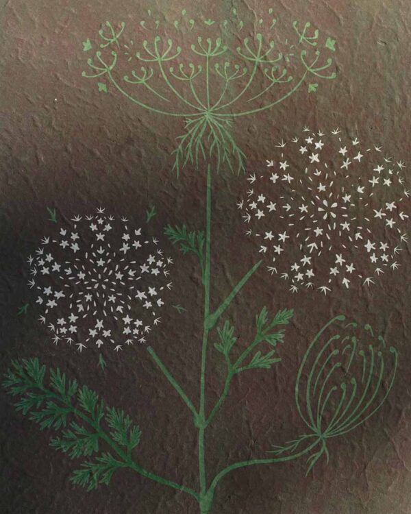 Carrot Sauvage Botanical Blockprint Queen Anne's lace