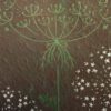 Carrot Sauvage Botanical Blockprint Queen Anne's lace