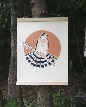 Epervier Brun Blockprint Sharp-Shinned Hawk Focus