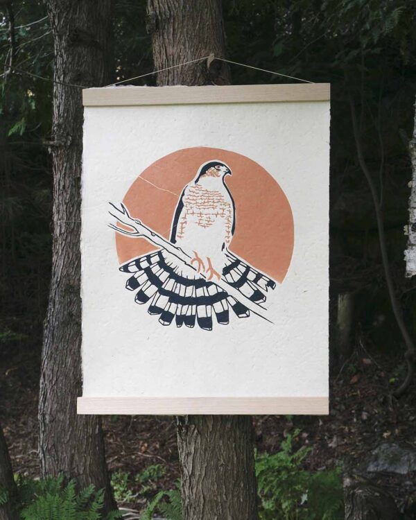 Epervier Brun Blockprint Sharp-Shinned Hawk Focus
