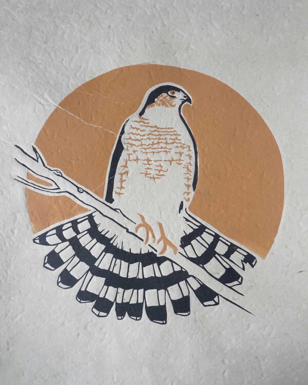Epervier Brun Blockprint Sharp-Shinned Hawk Focus