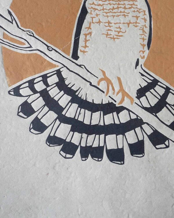 Epervier Brun Blockprint Sharp-Shinned Hawk Focus