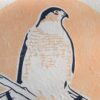 Epervier Brun Blockprint Sharp-Shinned Hawk Focus
