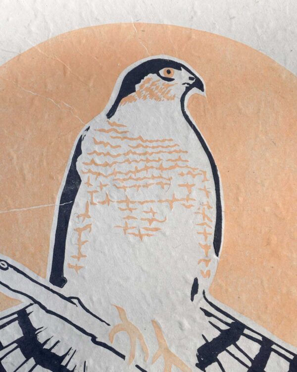 Epervier Brun Blockprint Sharp-Shinned Hawk Focus