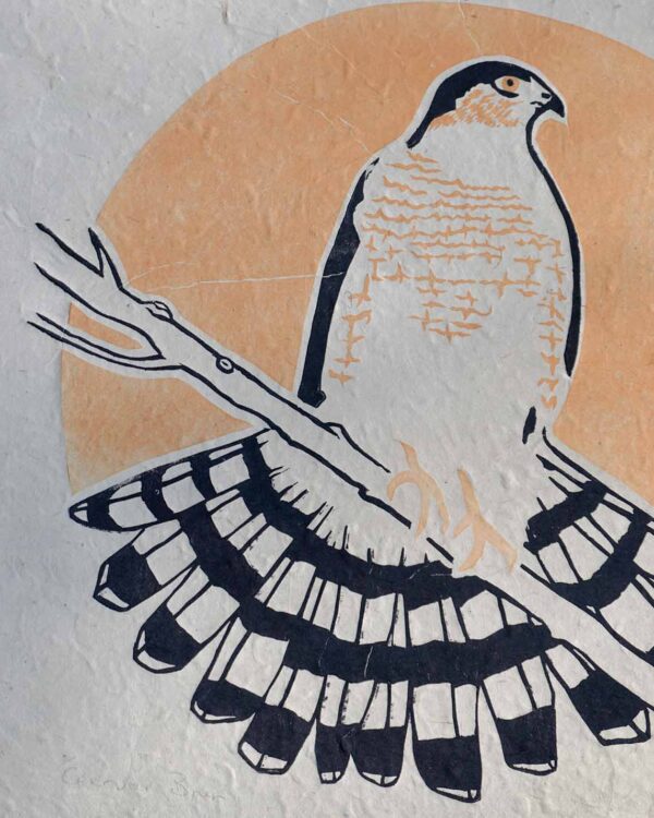 Epervier Brun Blockprint Sharp-Shinned Hawk Focus