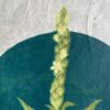 Botanical Blockprint Mullein Botanical Blockprint Mullein