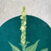 Botanical Blockprint Mullein Botanical Blockprint Mullein