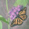 Botanical Blockprint Monarch Métamorphose Botanical Blockprint Monarch Métamorphose